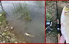 Irmakta öyle bir balık tuttu ki