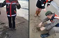 Kaçak Kalkan Balığı Avcılarına baskın