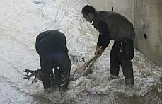 Kanalda mahsur kalan karaca kurtarıldı