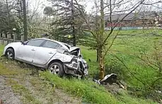 Kayan otomobil ağaca çarptı