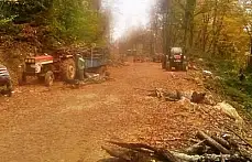 kestiği ağacın altında can verdi