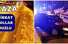 Kontrolden çıktı, bankete çarptı