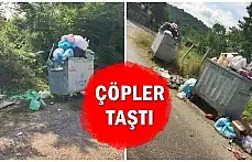 Köylüler taşan çöplerden şikâyetçi