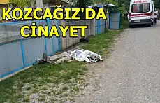 Kozcağız'da Cinayet