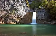 Küre Dağlarında Foto Safari