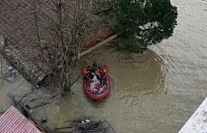 Mahsur kalan köpekler kurtarıldı