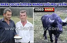 Manda yoğurdunun faydaları saymaka bitmiyor