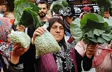 Santrale Çiftçi Kadınlardan Sebzeli Tepki