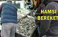 Vatandaş 'hamsi'ye akın etti