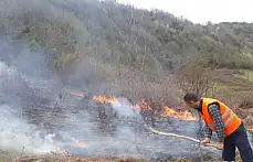 Yakılan Ateş, Ormana Sıçradı