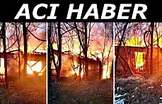 Yaşlı kadın yangında can verdi