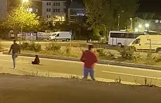 Yolun ortasına oturdu