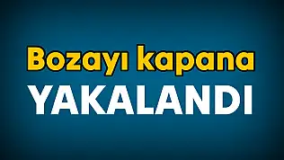 Ekipler seferber oldu