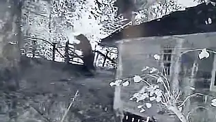 Gece kameraya yakalandı