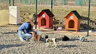 Hayvan Doğal Yaşam Alanı kuruldu