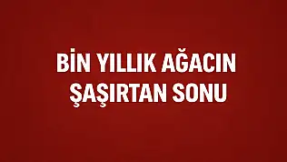 Kesildi satıldı ama yok olmadı