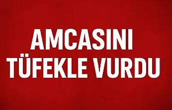 Aile içi tartışma kanlı bitti