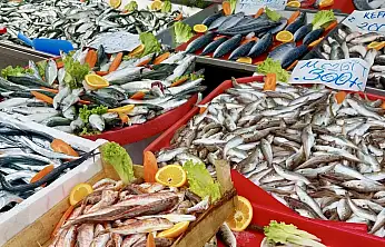 Balık bollaştı, tezgahlar coştu