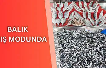 Balık kış modunda