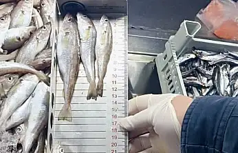 Balıklar boylarına varıncaya kadar ölçüldü