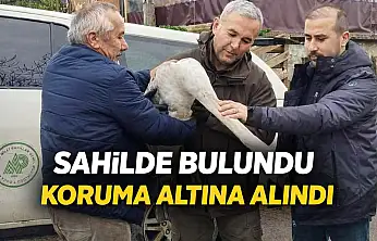 Bartın'da duyarlı müdahale