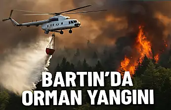 Bartın'da orman yangını çıktı