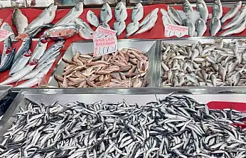 Deniz cömert, pazar sert