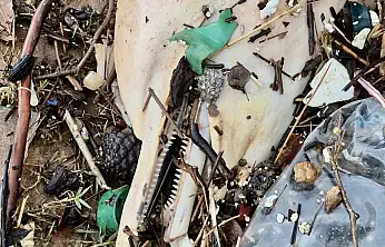 Ölüsü kıyıya vurdu