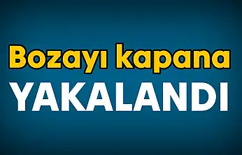 Ekipler seferber oldu