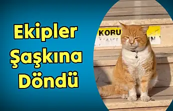 Ekipleri şaşkına çeviren olay