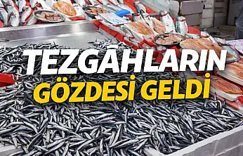Ereğli'den geldi, tezgâh şenlendi