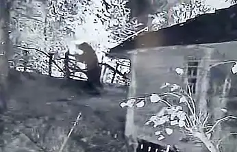 Gece kameraya yakalandı