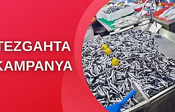 Hamsi bugün kampanyalı