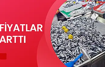 Hava bozdu, balık azaldı