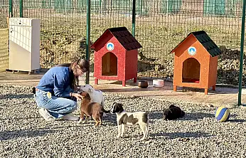 Hayvan Doğal Yaşam Alanı kuruldu