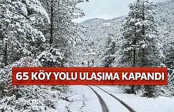 Karda kapanan yollar açılıyor