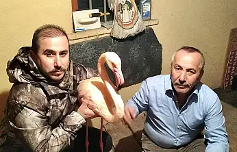 Mugada Sahilinde Bir İlk!