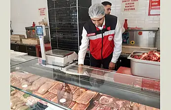 Ne kadar denetim o kadar sağlık