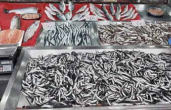 Tezgahın en uygun balığı