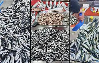 Tezgahlar tekrar şenlendi