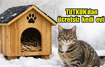 Tutkun'dan kediler için ücretsiz ev