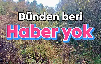 Yaşlı kadın ormanda aranıyor