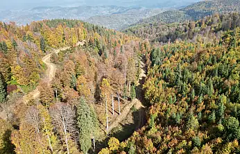 Yaylalarda sonbahar güzelliği