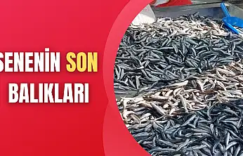 Yılın son balıkları satışta