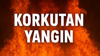 Bartın'da korkutan yangın