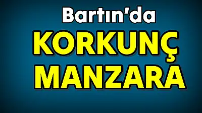 Bartın'da yürek yakan görüntü