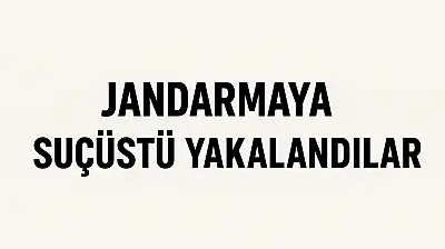 Jandarmaya suçüstü yakalandılar
