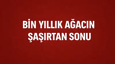 Kesildi satıldı ama yok olmadı