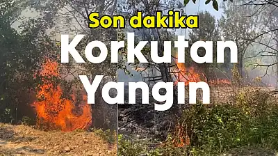 Yangın çıktı, yürekler ağza geldi