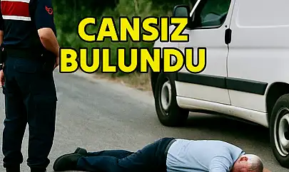 Aracın yanında ölü bulundu